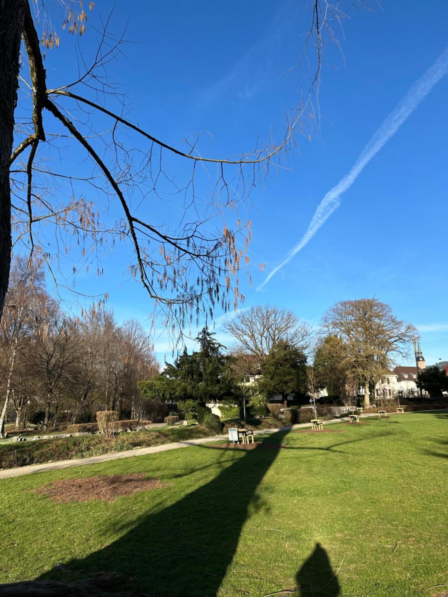 Fewo “Ruhige Momente” In Waldkirch Luaran gambar