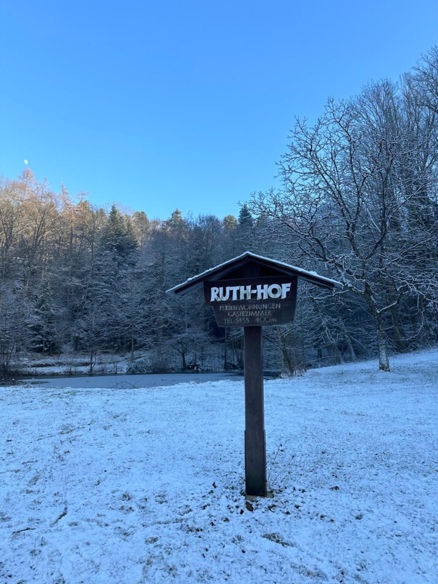 Fewo “Ruhige Momente” In Waldkirch Luaran gambar